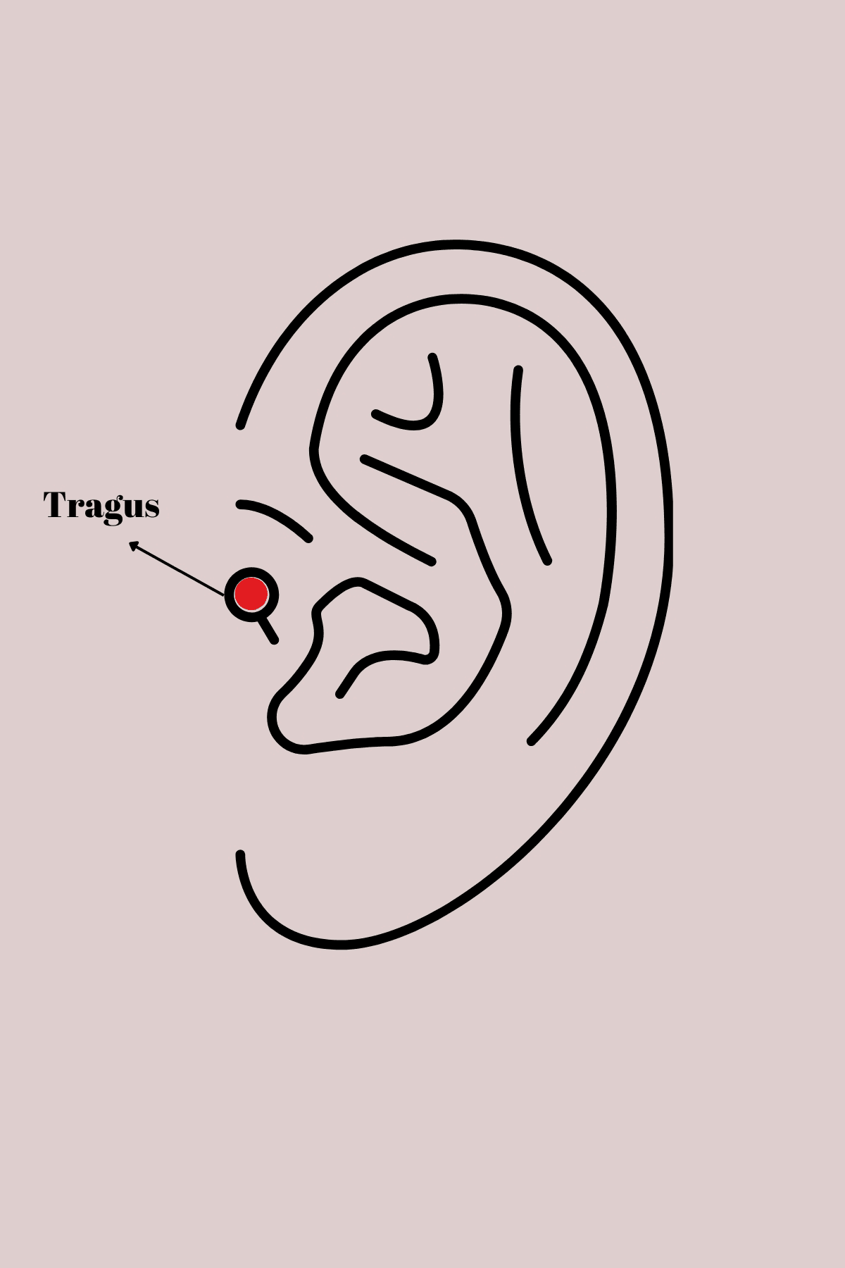 316L Çelik Gümüş Renk Zirkon Taşlı Güneş Tragus Piercing 5886